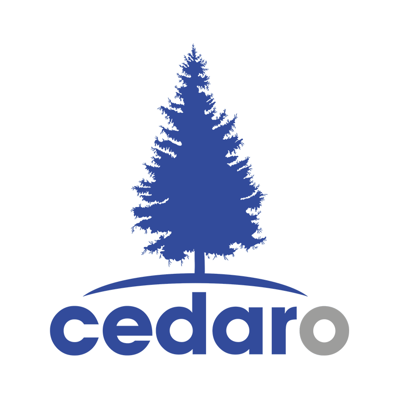 Cedaro Ltd